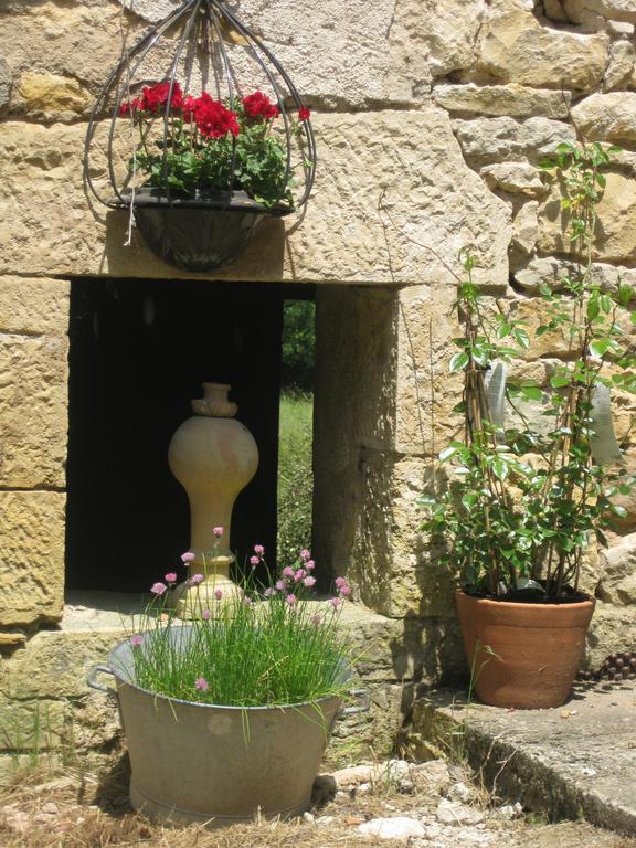 לינה וארוחת בוקר Caylus Domaine La Rose מראה חיצוני תמונה